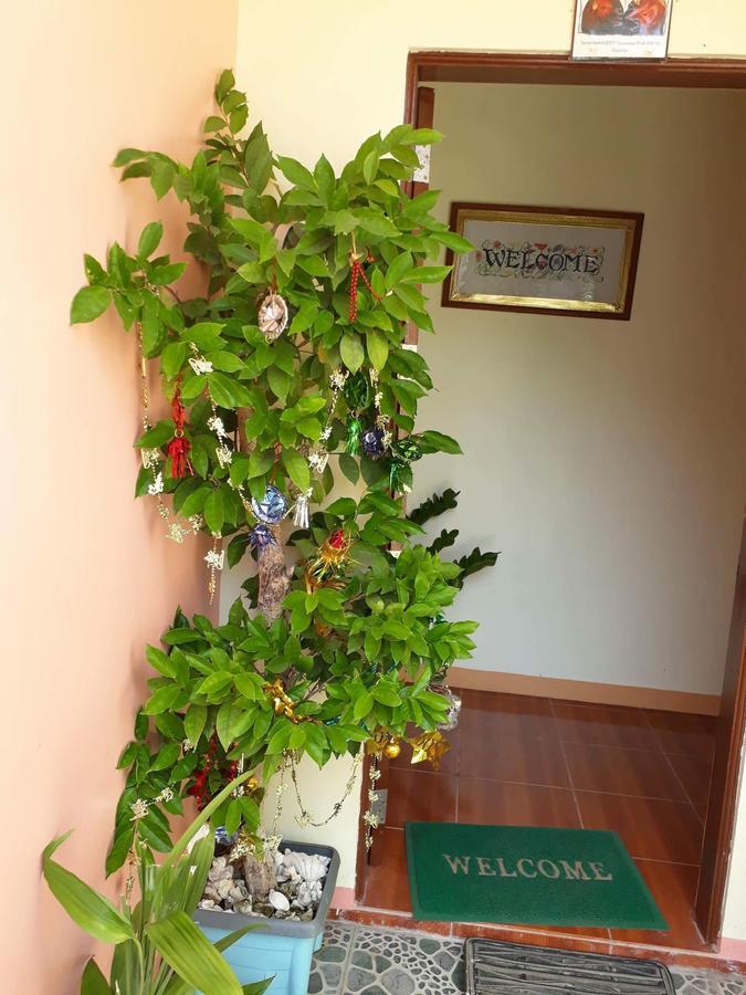 R&E Bed&Breakfast Ivana Exterior foto